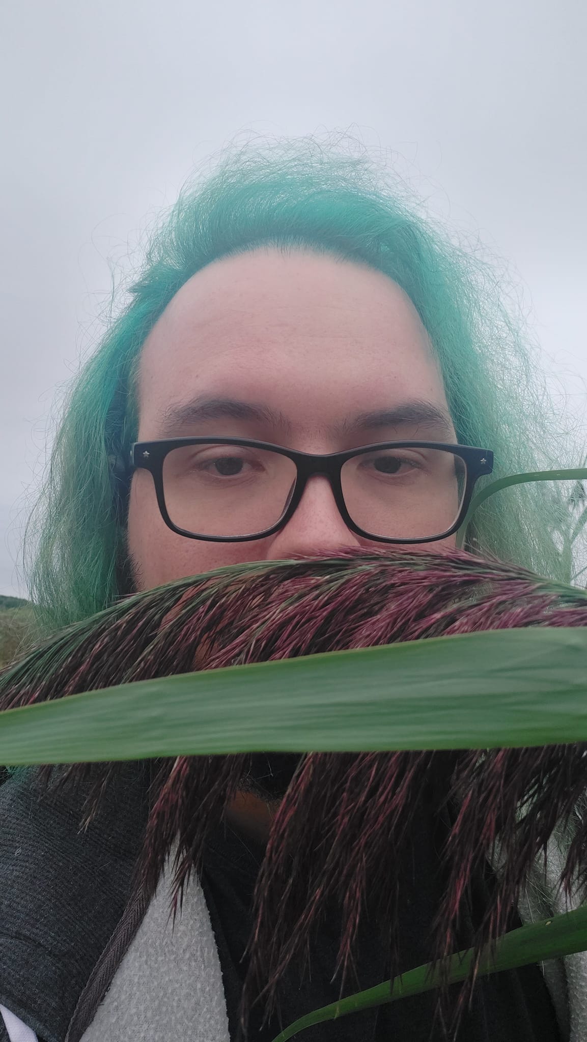 A man with green hair is visiting a freshwater marsh, photo 13